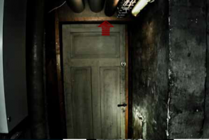 Дверь в Подвал3
